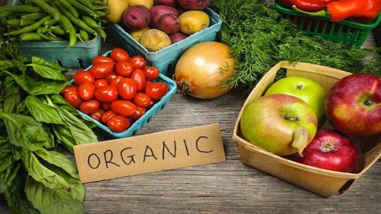 Is Organic Food Better For You Than Genetically Modified Foods?