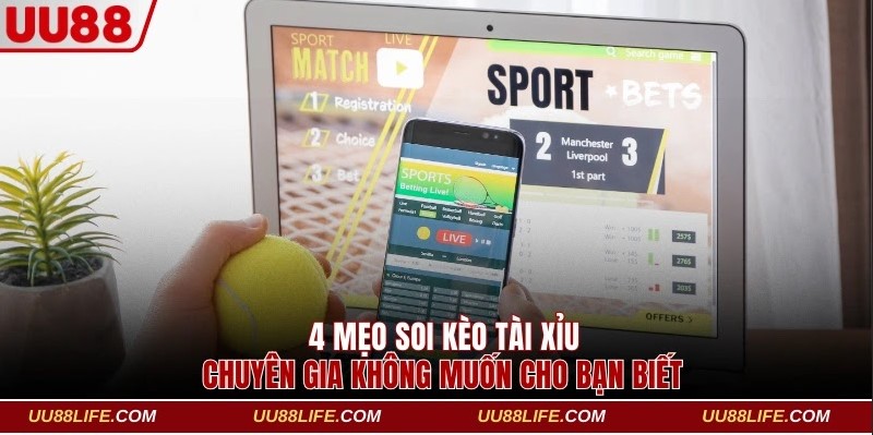 4 Mẹo Soi Kèo Tài Xỉu Chuyên Gia Không Muốn Cho Bạn Biết 1 kèo Tài Xỉu