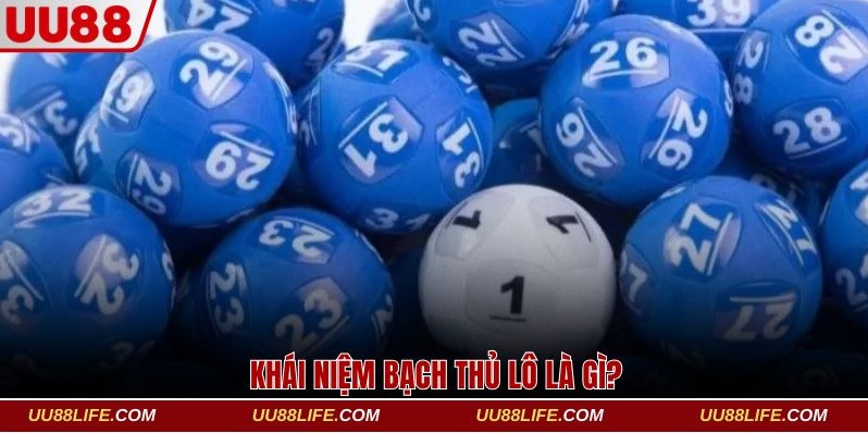 Gợi Ý Cách Đánh Bạch Thủ Lô Chuẩn Xác Với Tỷ Lệ Thắng 95% 2 Khái niệm bạch thủ lô là gì?