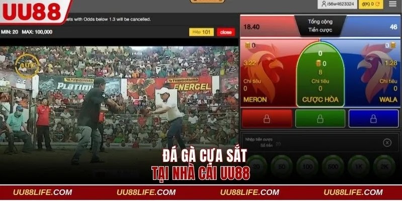Livestream Đá Gà Cựa Sắt - Nhận Thưởng Siêu Khủng Tại UU88 2 Tổng quan về đá gà cựa sắt UU88